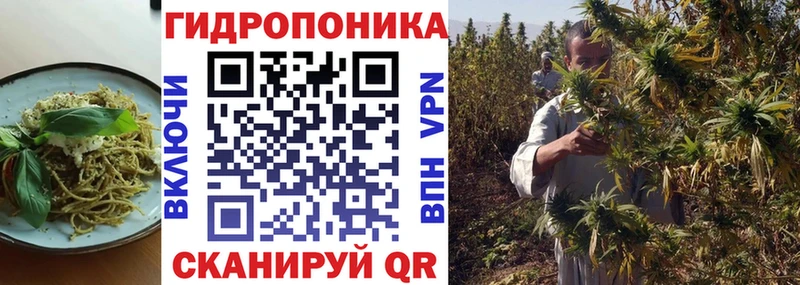 Cannafood конопля  наркошоп  Бузулук 