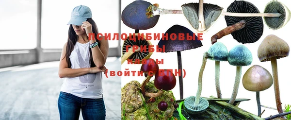 бутират Беломорск