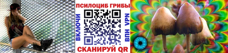 kraken ССЫЛКА  Бузулук  Псилоцибиновые грибы ЛСД 